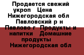 Продается свежий укроп › Цена ­ 30 - Нижегородская обл., Павловский р-н, Павлово г. Продукты и напитки » Домашние продукты   . Нижегородская обл.